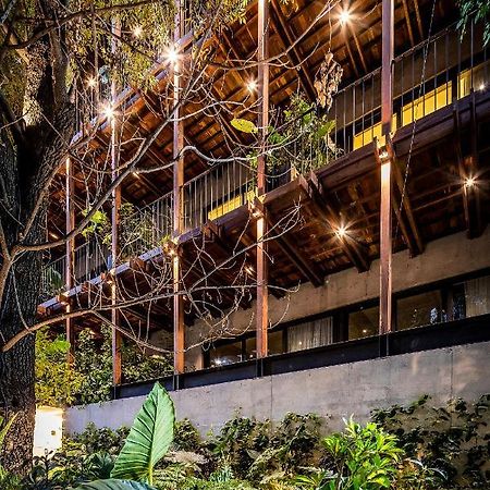 Ana Polanco Apartments 墨西哥城 外观 照片